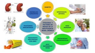 Irc Ruma Apa APA FISIO - IRC.pptx
