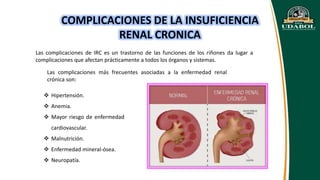 Irc Ruma Apa APA FISIO - IRC.pptx