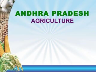 ANDHRA PRADESH AGRICULTURE 