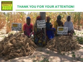 THANK YOU FOR YOUR ATTENTION!
 