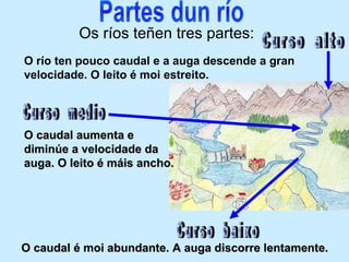 Os ríos teñen tres partes:
O río ten pouco caudal e a auga descende a gran
velocidade. O leito é moi estreito.
O caudal aumenta eO caudal aumenta e
diminúe a velocidade dadiminúe a velocidade da
auga. O leito é máis ancho.auga. O leito é máis ancho.
O caudal é moi abundante. A auga discorre lentamente.O caudal é moi abundante. A auga discorre lentamente.
 