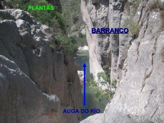BARRANCOBARRANCO
AUGA DO RÍO
PLANTAS
 