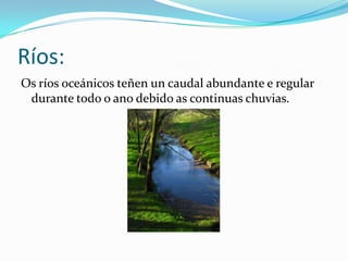 Ríos:	Os ríos oceánicos teñen un caudal abundante e regular durante todo o ano debido as continuas chuvias.