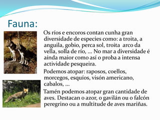 Fauna:   Os ríos e encoroscontancunha gran diversidade de especies como: a troita, a anguila, gobio, perca sol, troita  arco da vella, solla de río, ... No mar a diversidade é aíndamaior como así o proba a intensa actividadepesqueira.    Podemos atopar: raposos, coellos, morcegos, esquíos, visón americano, cabalos, ...Tamén podemos atopar gran cantidade de aves. Destacan o azor, o gavilán ou o falcón peregrino ou a multitude de aves mariñas.