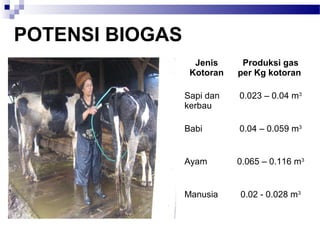 POTENSI BIOGAS
Jenis
Kotoran
Produksi gas
per Kg kotoran
Sapi dan
kerbau
0.023 – 0.04 m3
Babi 0.04 – 0.059 m3
Ayam 0.065 – 0.116 m3
Manusia 0.02 - 0.028 m3
 