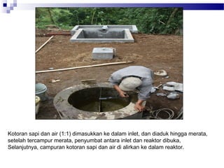 Kotoran sapi dan air (1:1) dimasukkan ke dalam inlet, dan diaduk hingga merata,
setelah tercampur merata, penyumbat antara inlet dan reaktor dibuka,
Selanjutnya, campuran kotoran sapi dan air di alirkan ke dalam reaktor.
 