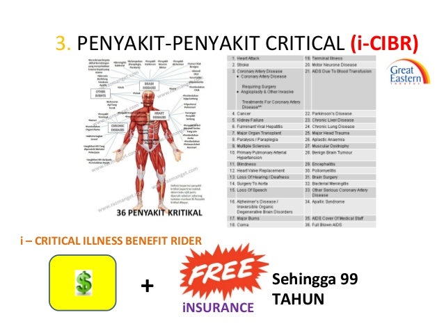 Insurans Kesihatan Keluarga: Perlindungan Komprehensif untuk Masa Depan Anda