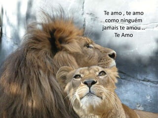 Te amo , te amo
como ninguém
jamais te amou ..
Te Amo