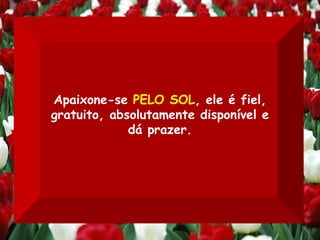 Apaixone-se  PELO SOL , ele é fiel, gratuito, absolutamente disponível e dá prazer. 