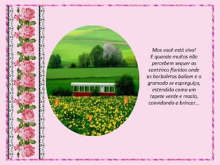 Mas você está vivo!
E quando muitos não
percebem sequer os
canteiros floridos onde
as borboletas bailam e o
gramado se espreguiça,
estendido como um
tapete verde e macio,
convidando a brincar...
 