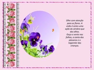 Olhe com atenção
para as flores. A
visão é antes uma
ação do cérebro que
dos olhos.
Ouça o vento nas
folhas, o canto dos
pássaros e o
tagarelar das
crianças.
 