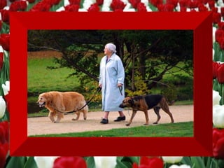 Apaixone-se pelo  SEU CORPO ,  mesmo que ele esteja fora de forma,  pois de "qualquer forma" ele é a única  casa que você realmente possui. 