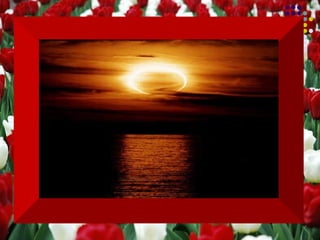 Aprendi  que preciso escolher  entre controlar meus pensamentos ou  ser controlado por eles. 