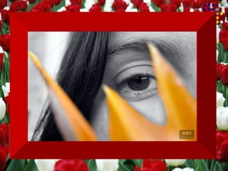 Que não é o bastante ser perdoado  pelos outros...  eu preciso me perdoar primeiro. 