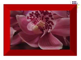 Aprendi  que perdoar exige muita prática. Que há muita gente que gosta de mim,  mas não consegue expressar isso. 