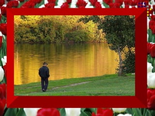 Um dia desses, enquanto esperava a vez  na sala de espera de um consultório médico, percebi,  solta entre as revistas, uma folha de papel. A curiosidade fez com que a tomasse  para ler o conteúdo.  Era uma bela mensagem que alguém havia escrito. O título, interessante e curioso: “Aprendi”... Dizia o seguinte: 