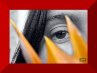 Aprendi  que não importa o quanto certas coisas  sejam importantes para mim,  tem gente que não dá a mínima  e eu jamais conseguirei convencê-las. 