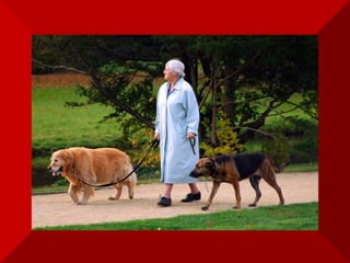 Aprendi  que posso passar anos construindo  uma verdade e destruí-la  em apenas alguns segundos. 