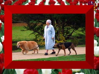 Aprendi...   Que vai demorar muito para me  transformar na pessoa que quero ser...  e devo ter paciência. 