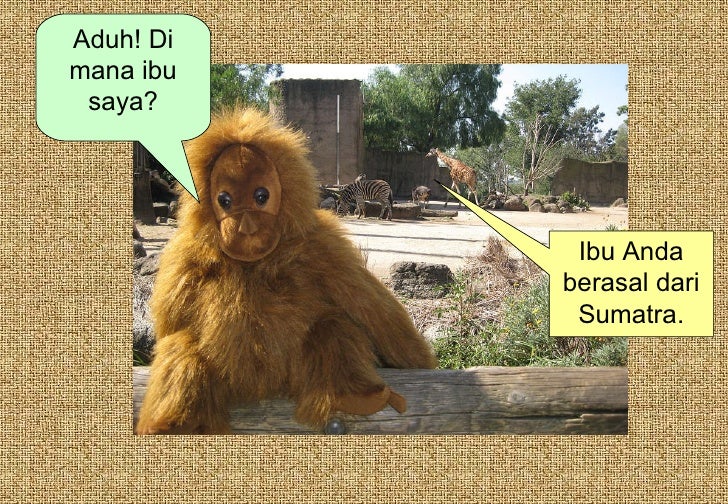 Apakah Anda Ibu Saya
