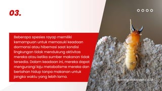 Rahasia Ketahanan Hewan: 13 Spesies Luar Biasa yang Mampu Bertahan Hidup Tanpa Makanan dan Minuman dalam Jangka Waktu Fantastis