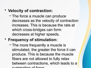 APALIT-VINCENT-V.-MUSCLE-CONTRACTION.pptx