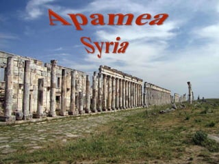 Apamea Syria 