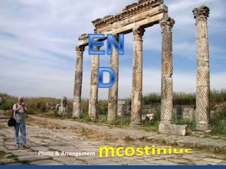 ENDmcostiniucPhoto & Arrangement