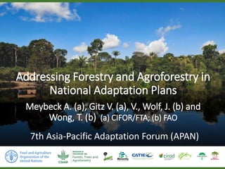 Addressing Forestry and Agroforestry in
National Adaptation Plans
Meybeck A. (a), Gitz V. (a), V., Wolf, J. (b) and
Wong, T. (b) (a) CIFOR/FTA; (b) FAO
7th Asia-Pacific Adaptation Forum (APAN)
 