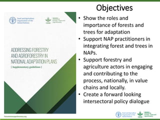 Addressing Forestry and Agroforestry in National Adaptation Plans