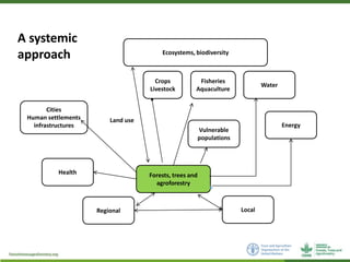 Addressing Forestry and Agroforestry in National Adaptation Plans