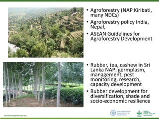 Addressing Forestry and Agroforestry in National Adaptation Plans
