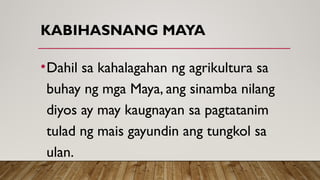 KABIHASNANG MAYA
•Dahil sa kahalagahan ng agrikultura sa
buhay ng mga Maya, ang sinamba nilang
diyos ay may kaugnayan sa pagtatanim
tulad ng mais gayundin ang tungkol sa
ulan.
 