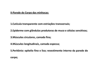 II-Parede do Corpo das minhocas:



1.Cutícula transparente com estriações transversais;

2.Epiderme com glândulas produtoras de muco e células sensitivas;

3.Músculos circulares, camada fina;

4.Músculos longitudinais, camada espessa;

5.Peritônio: epitelio fino e liso; revestimento interno da parede do

corpo;
 