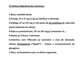 IV-Sistema Digestório das minhocas:


1.Boca; cavidade bucal;
2.Faringe, 4º e 5º seg c/ gls p/ lubrificar o alimento;
3.Esôfago, 6º ao 14º seg c/ três pares de gls Calcíferas de cada lado
(prod carbonato de cálcio);
4.Papo ou proventrículo, 15º ao 16º seg p/ armazenar al..;
5.Moela, p/ triturar o alimento;
6.Intestino, com Tiflossole p/ aumentar a área de absorção;
Células Cloragógenas (“fígado”) – síntese e armazenamento de
glicogênio;
7.Ânus, verticalmente oval, no último segmento;
 