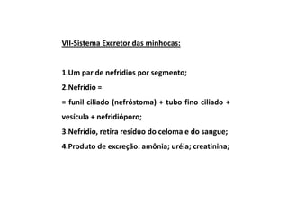 VII-Sistema Excretor das minhocas:


1.Um par de nefridios por segmento;
2.Nefrídio =
= funil ciliado (nefróstoma) + tubo fino ciliado +
vesícula + nefridióporo;
3.Nefrídio, retira resíduo do celoma e do sangue;
4.Produto de excreção: amônia; uréia; creatinina;
 