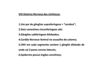 VIII-Sistema Nervoso das minhocas:


1.Um par de gânglios suprafaríngeos = “cerebro”;
2.Dois conectivos circunfaríngeos até;
3.Gânglios subfaríngeos bilobados;
4.Cordão Nervoso Ventral no assoalho do celoma;
5.CNV em cada segmento contem 1 gânglio dilatado de
onde sai 3 pares nervos laterais;
6.Epiderme possui órgãos sensitivos;
 