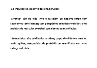 1.4- Polychaeta são divididos em 2 grupos:


-Errantia: são de vida livre e rastejam ou nadam; corpo com
segmentos semelhantes; com parapódios bem desenvolvidos; uma
probóscide muscular eversível com dentes ou mandíbulas;


- Sedentários: são confinados a tubos; corpo dividido em duas ou
mais regiões; sem probóscide protrátil com mandíbula; com uma
cabeça reduzida;
 