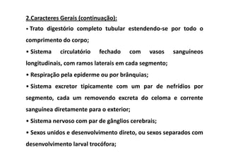 2.Caracteres Gerais (continuação):
• Trato digestório completo tubular estendendo-se por todo o

comprimento do corpo;
• Sistema   circulatório   fechado    com      vasos   sanguíneos
longitudinais, com ramos laterais em cada segmento;
• Respiração pela epiderme ou por brânquias;
• Sistema excretor tipicamente com um par de nefrídios por
segmento, cada um removendo excreta do celoma e corrente
sanguínea diretamente para o exterior;
• Sistema nervoso com par de gânglios cerebrais;
• Sexos unidos e desenvolvimento direto, ou sexos separados com
desenvolvimento larval trocófora;
 