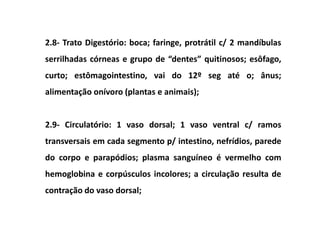 2.8- Trato Digestório: boca; faringe, protrátil c/ 2 mandíbulas
serrilhadas córneas e grupo de “dentes” quitinosos; esôfago,
curto; estômagointestino, vai do 12º seg até o; ânus;
alimentação onívoro (plantas e animais);


2.9- Circulatório: 1 vaso dorsal; 1 vaso ventral c/ ramos
transversais em cada segmento p/ intestino, nefrídios, parede
do corpo e parapódios; plasma sanguíneo é vermelho com
hemoglobina e corpúsculos incolores; a circulação resulta de
contração do vaso dorsal;
 