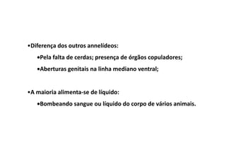 •Diferença dos outros annelídeos:
   •Pela falta de cerdas; presença de órgãos copuladores;
   •Aberturas genitais na linha mediano ventral;


•A maioria alimenta-se de líquido:
   •Bombeando sangue ou líquido do corpo de vários animais.
 