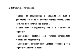 2- Estrutura dos hirudíneos:


         Corpo     da   sanguessuga    é    alongado   ou   oval   e
       geralmente achatado dorsoventralmente; flexível; pode
       ser distendido, contraído ou dilatado;
         Corpo com 34 segmentos; com 1 a 5 ânulos p/
       segmento;
         Extremidade     posterior    com    ventosa   arredondada
       formada por 7 segmentos;
         Extremidade anterior com ventosa formada por 2
       segmentos, circunda a boca;
 