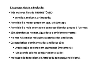 3.Aspectos Gerais e Evolução:
• Três maiores filos de PROTOSTÔMIO:
   • annelida, molusca, arthropoda;
• Annelida é o menor grupo em spp,; 10.000 spp.;
• Annelida é o mais avançado e bem sucedido dos grupos d “vermes;
• São abundantes no mar, água doce e ambiente terrestre;
• No mar há a maior radiação adaptativa dos anelídeos;
• Características dominantes dos anelídeos são:
   • Organização do corpo em segmentos (metameria);
   • Um grande celoma compartimentalizado;
• Molusco não tem celoma e Artrópoda tem pequeno celoma.
 
