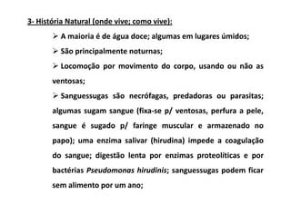 3- História Natural (onde vive; como vive):
         A maioria é de água doce; algumas em lugares úmidos;
         São principalmente noturnas;
         Locomoção por movimento do corpo, usando ou não as
       ventosas;
         Sanguessugas são necrófagas, predadoras ou parasitas;
       algumas sugam sangue (fixa-se p/ ventosas, perfura a pele,
       sangue é sugado p/ faringe muscular e armazenado no
       papo); uma enzima salivar (hirudina) impede a coagulação
       do sangue; digestão lenta por enzimas proteolíticas e por
       bactérias Pseudomonas hirudinis; sanguessugas podem ficar
       sem alimento por um ano;
 