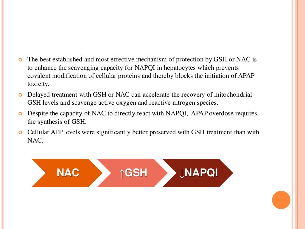 Paracetamol hepatotoxicity