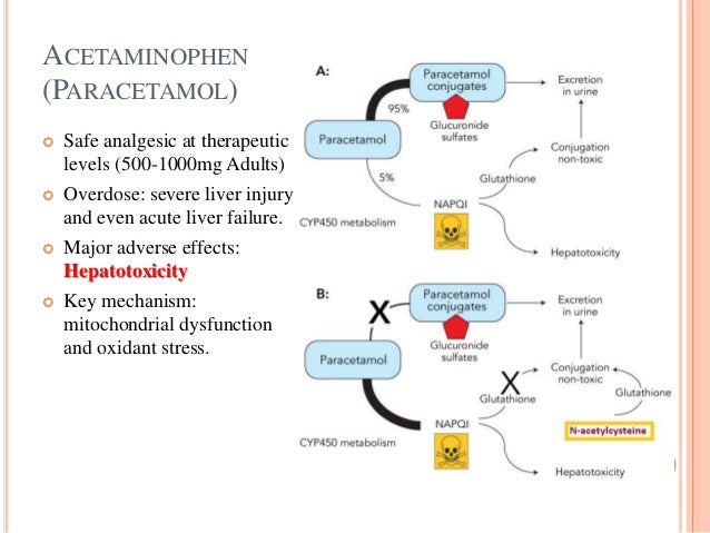 Bioflu Paracetamol Side Effect