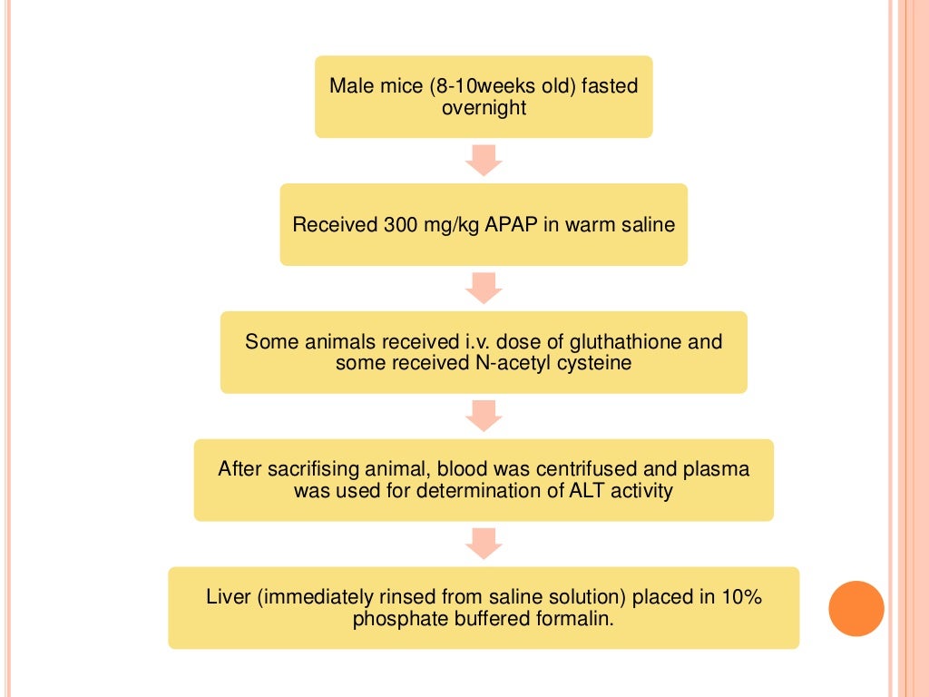Paracetamol hepatotoxicity