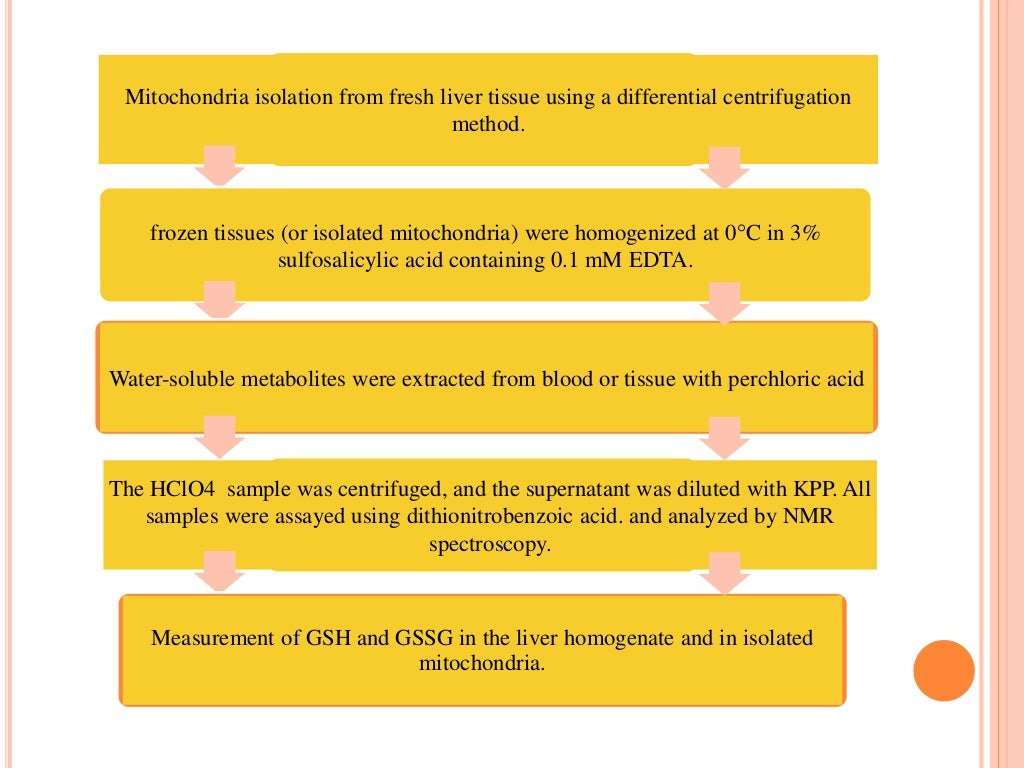 Paracetamol hepatotoxicity