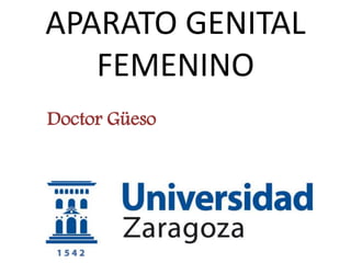 Doctor Güeso
APARATO GENITAL
FEMENINO
 
