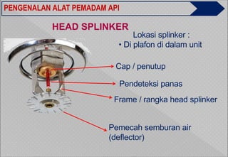 APAR.ppt